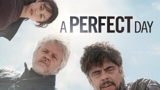 A Perfect Day