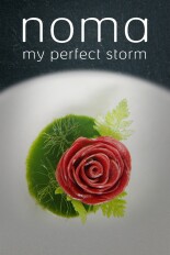 Noma, My Perfect Storm