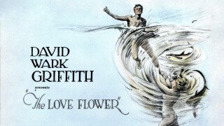 The Love Flower