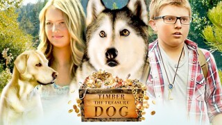 Timber the Treasure Dog