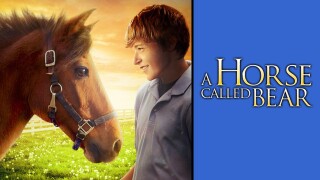 A Horse Called Bear