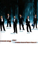 Looking for Mister Perfect
