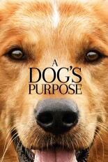 A Dog's Purpose