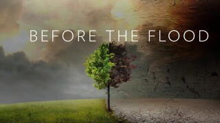 Before the Flood