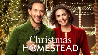 Christmas in Homestead