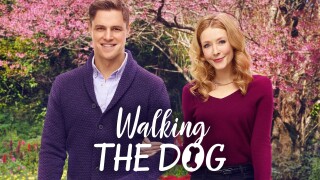 Walking the Dog
