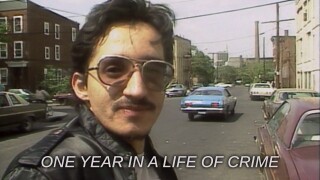 One Year in a Life of Crime