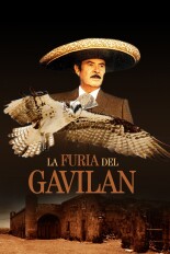 La furia del gavilán