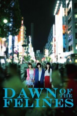 Dawn of the Felines