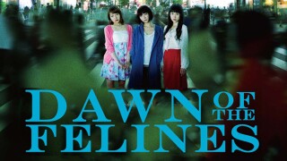 Dawn of the Felines