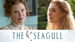 The Seagull