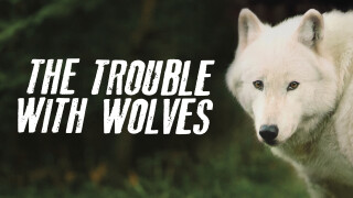 The Trouble With Wolves
