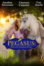 Pegasus: Pony With a Broken Wing