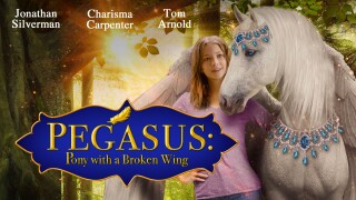 Pegasus: Pony With a Broken Wing