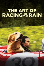 The Art of Racing in the Rain