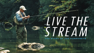Live the Stream: The Story of Joe Humphreys
