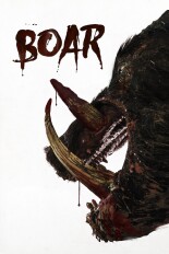 Boar