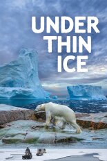 Under Thin Ice