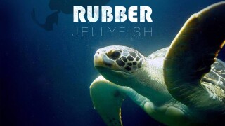 Rubber Jellyfish