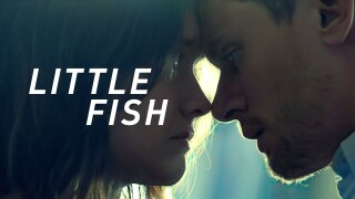 Little Fish