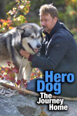 Hero Dog: The Journey Home