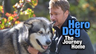 Hero Dog: The Journey Home