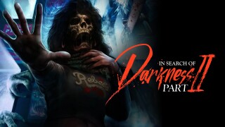 In Search of Darkness: Part II