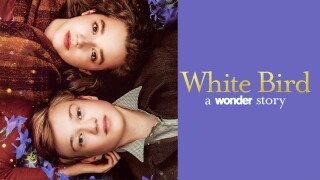 White Bird