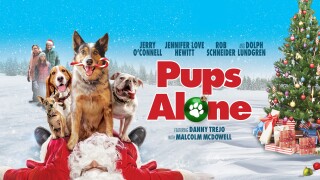 Pups Alone