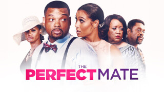 The Perfect Mate