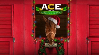 Ace & the Christmas Miracle