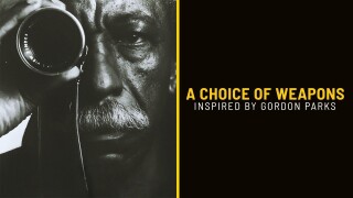 A Choice of Weapons: Inspired by Gordon Parks