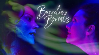 Borrelia Borealis