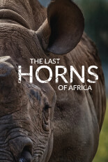 The Last Horns of Africa