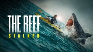 The Reef: Stalked