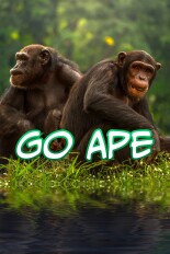 Go Ape