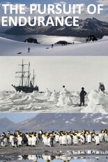 The Pursuit of Endurance