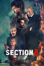 Section 8