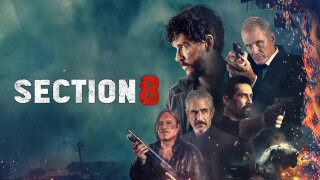 Section 8
