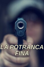 La potranca fina