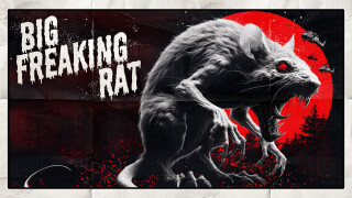 Big Freaking Rat