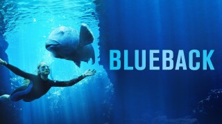 Blueback