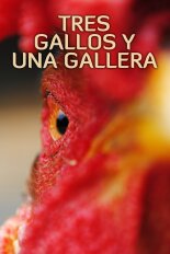Tres gallos y una gallera