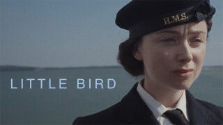 Little Bird