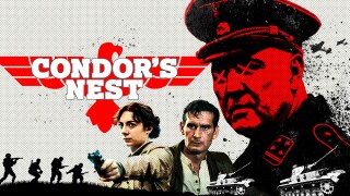 Condor's Nest