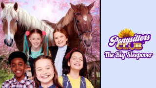 Ponysitters Club: The Big Sleepover