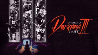 In Search of Darkness: Part III