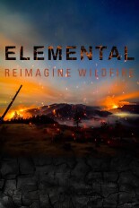 Elemental: Reimagine Wildfire