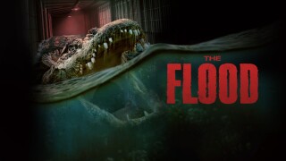 The Flood