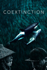 Coextinction